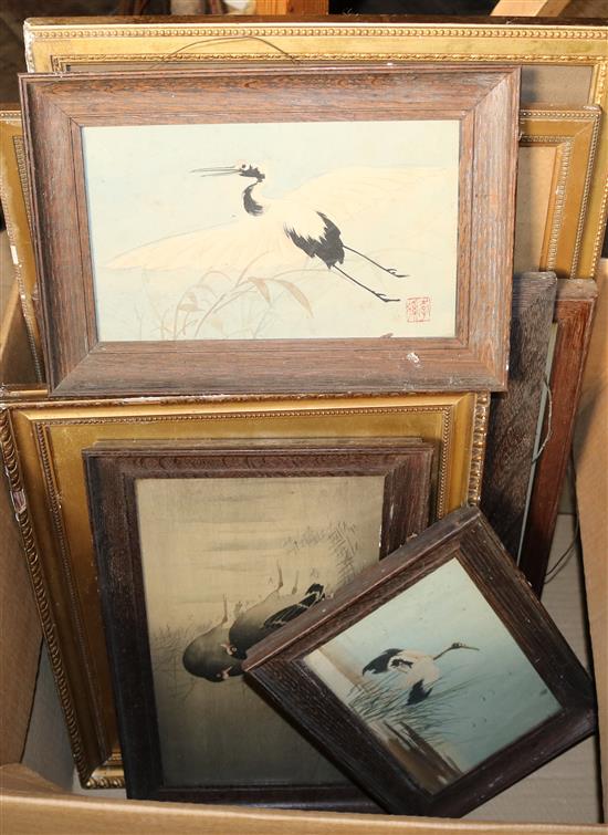 Mixed watercolours, spy print, bird print etc